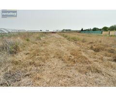 OCASION  PARCELA RUSTICA DE 1290 METROS