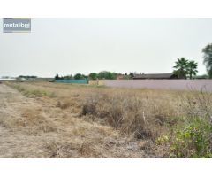 OCASION  PARCELA RUSTICA DE 1290 METROS