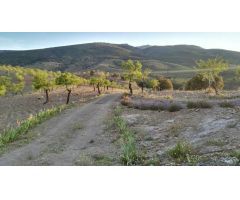 Terreno de regadío en Sierra Nevada con Cortijo de Aperos