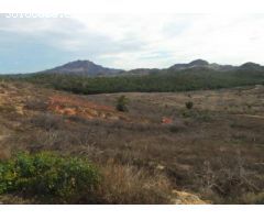 Terreno urbano en Venta en El Esparragal, Murcia