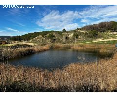 FINCA DE RECREO EN MENDIGORRIA CON ZONA DE ALMACEN, FRUTALES, OLIVOS ETC