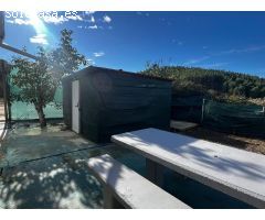 FINCA DE RECREO EN MENDIGORRIA CON ZONA DE ALMACEN, FRUTALES, OLIVOS ETC