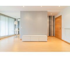 Exclusiva vivienda de 2 habitaciones en Ripagaina