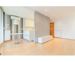 Exclusiva vivienda de 2 habitaciones en Ripagaina