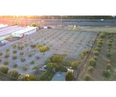 ¡INVERSORES EN VENTA TERRENO RÚSTICO CRTA.RONDA SUR!