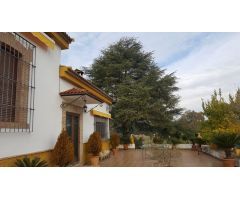 venta de parcela con casa chalet en Carretera del Santuario km. 11 Andújar
