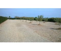 Terreno rural en Venta en poblenou del delta, Tarragona