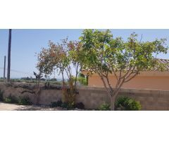 Chalet en Alquiler en Alcanar-Platja, Tarragona