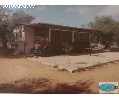 Terreno rural en Venta en Freginals, Tarragona