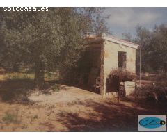 Terreno rural en Venta en Freginals, Tarragona