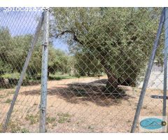 Terreno rural en Venta en Freginals, Tarragona