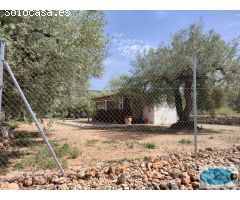 Terreno rural en Venta en Freginals, Tarragona