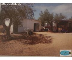 Terreno rural en Venta en Freginals, Tarragona