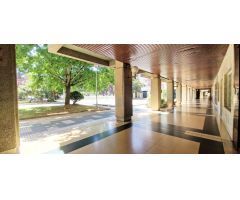 Local comercial en Venta en Barañáin, Navarra