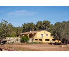 FINCA A LA VENTA EN BETERA, CHALET, HÍPICA Y RESTAURANTE