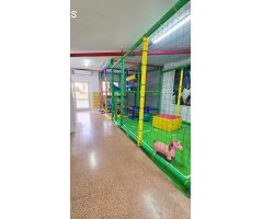EN VENTA LOCAL COMERCIAL EN PETRER/ TAMBIÉN OPCION A COMPRA