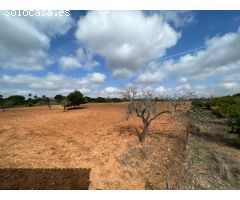 Casa de Pueblo en Venta en Sineu, Islas Baleares