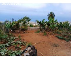 Terreno rural en La Corujera, Santa Ursula
