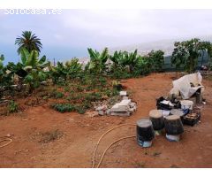 Terreno rural en La Corujera, Santa Ursula