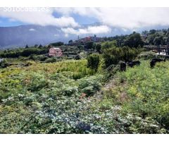 TERRENO RUSTICO EN AGUAMANSA