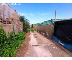 Casa con finca en Buenavista del norte