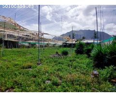 Casa con finca en Buenavista del norte