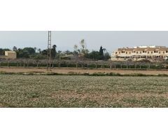 TERRENO A 300 Mº DEL NUCLEO DE  PERLETA