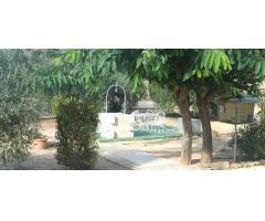 CHALET A 100 MT DE HONDON DE LAS NIEVES