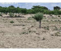 11000 m2 TERRENO RÚSTICO PARA CONSTRUIR