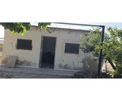 VENDO TERRENO CON PLANTACION DE GRANADO EN COCECHA !!