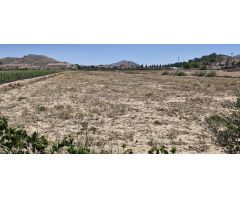 20.000m2 DE TERRENO PARA EDIFICAR EN HONDON DE LAS NIEVES!
