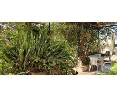 FINCA RUSTICA ILICITANA EN EL ALTET !