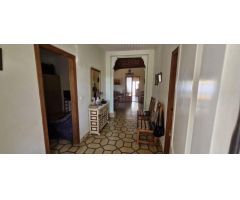 FINCA RUSTICA ILICITANA EN EL ALTET !