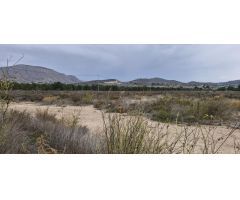 12000M2 TERRENO RUSTICO CON AGUA Y LUZ SOLO CONSTRUIR EL CHALET DE TUS SUEÑOS