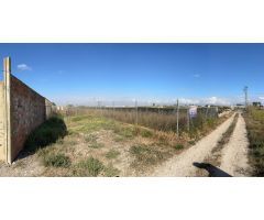 Terreno Rústico en Venta en Valencia de las Torres, Valencia