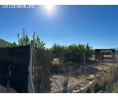 Parcela en la Huerta Abajo, el Planell, de 992 m2 hoy huerta, árboles frutales , excelente inversión