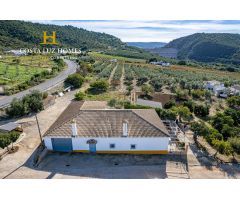 Casa de campo en Venta en Arcos de la Frontera, Cádiz