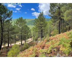 Finca rustica en Venta en Guisando, Ávila