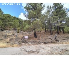 Finca rustica en Venta en Guisando, Ávila