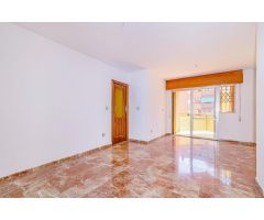 JARDÍN DE LA REINA. PISO FALMILIAR