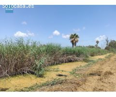 Terreno Rústico en Venta en Sagunto, Valencia