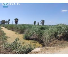 Terreno Rústico en Venta en Sagunto, Valencia