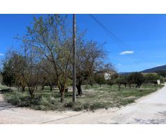 *Chalet único en venta cerca de Alcoy: Encanto histórico, naturaleza y exclusividad*
