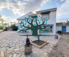CHALET CON PARCELA EN LA AZOHÍA