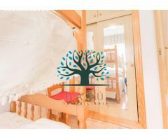 APARTAMENTO EN EL PASEO A 50 METROS DE LA PLAYA