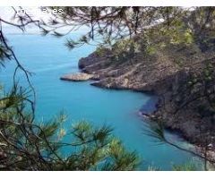 Villa de 614 m2 con parcela de 3142 m2