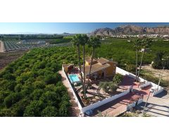 Finca de 9.480 m2. con Chalet de 495 m2. construidos en parcela de 1.000 m2. dentro de la finca.