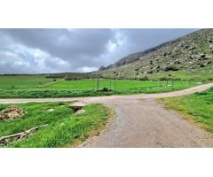 Cortijo en Venta en Antequera, Málaga