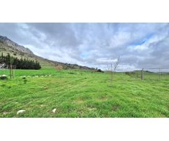 Cortijo en Venta en Antequera, Málaga