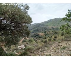 VENTA A PLAZOS DE PARCELA VALLADA.